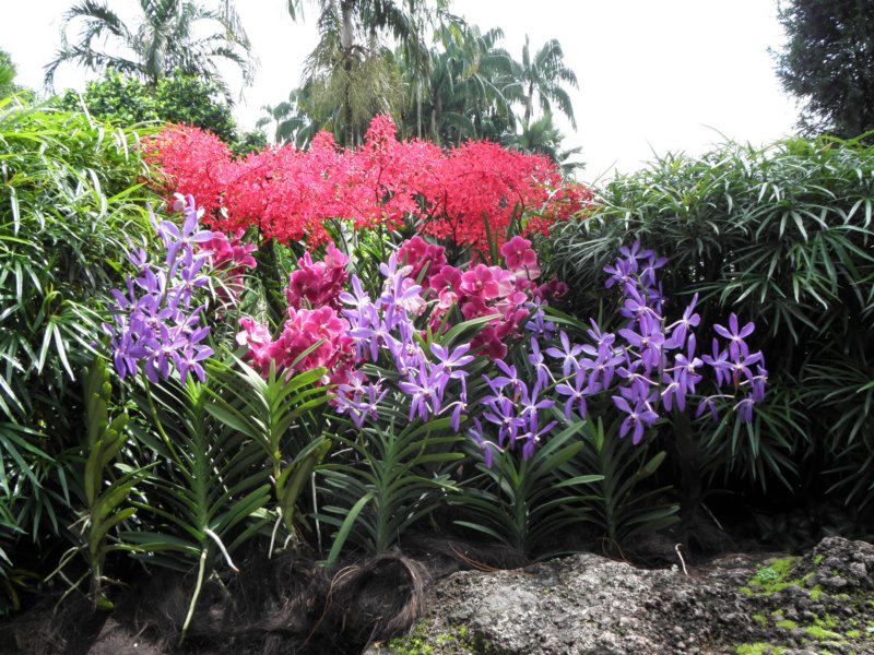 singaporemalaysia201283.jpg