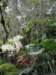 singaporemalaysia201288_small.jpg