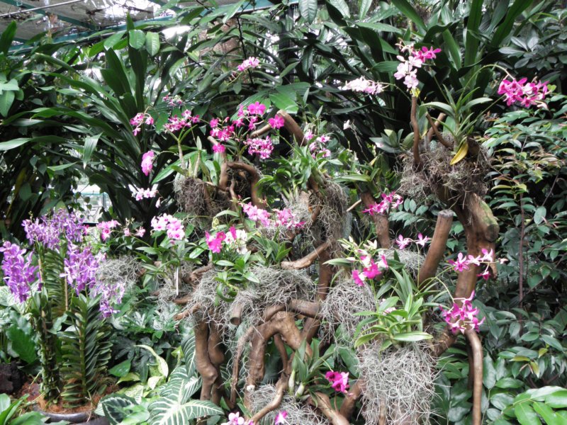 singaporemalaysia201291.jpg