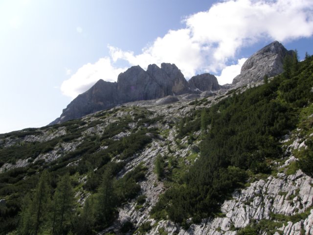 marmolada25070910.jpg