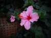 morocco201443_small.jpg