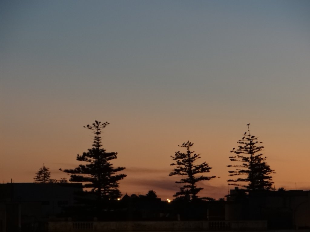 morocco201412.jpg