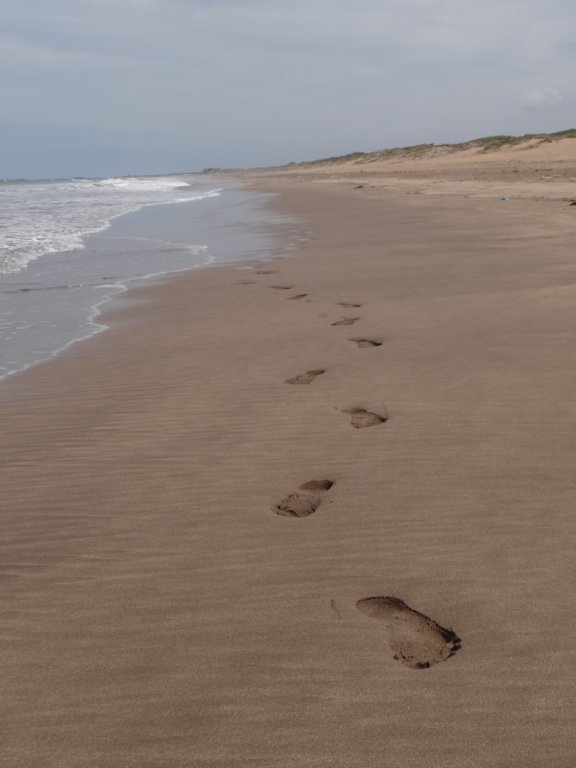 morocco201422.jpg