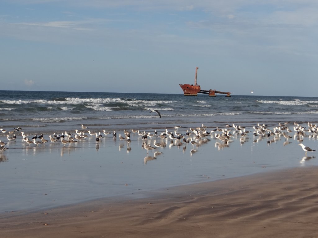 morocco201434.jpg