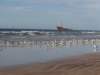 morocco201434_small.jpg