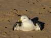 morocco20148_small.jpg