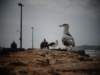 morocco201422_small.jpg