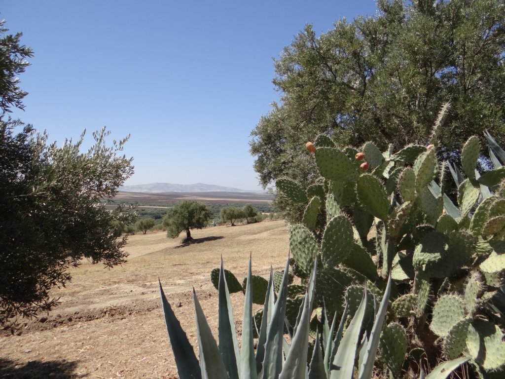 morocco2014102.jpg
