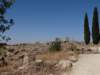 morocco2014107_small.jpg