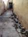 morocco201411_small.jpg