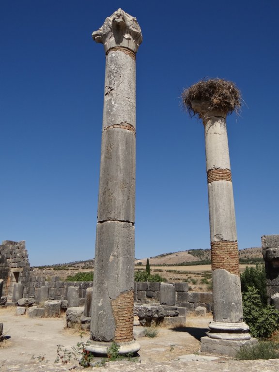 morocco2014123.jpg