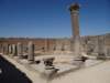 morocco2014131_small.jpg