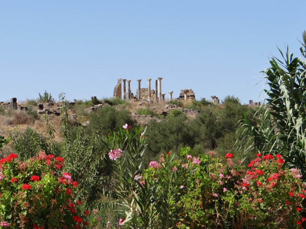 morocco2014140.jpg