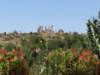 morocco2014140_small.jpg
