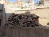 morocco201423_small.jpg
