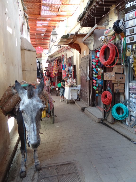morocco201445.jpg