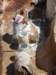 morocco201449_small.jpg