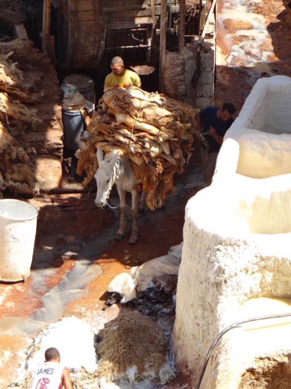 morocco201451.jpg