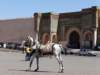 morocco201471_small.jpg