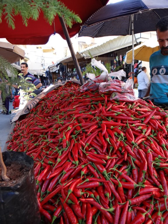 morocco201478.jpg