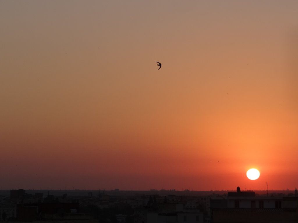 morocco201486.jpg