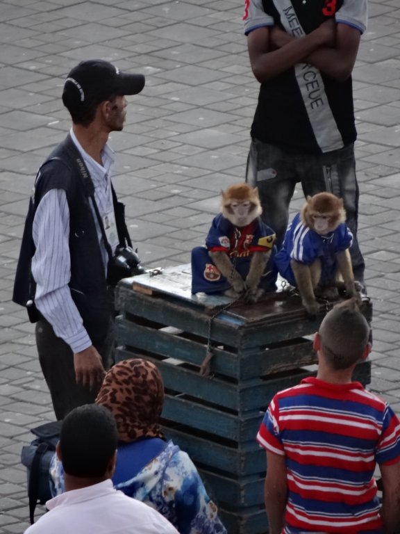 morocco201488.jpg