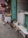 morocco201431_small.jpg