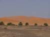 morocco201410_small.jpg