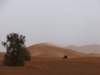 morocco2014116_small.jpg