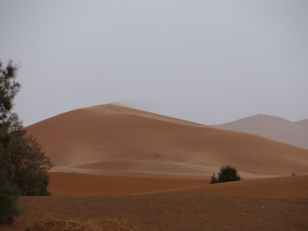 morocco2014117.jpg