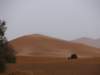 morocco2014117_small.jpg