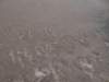 morocco2014118_small.jpg