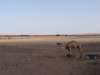 morocco201411_small.jpg