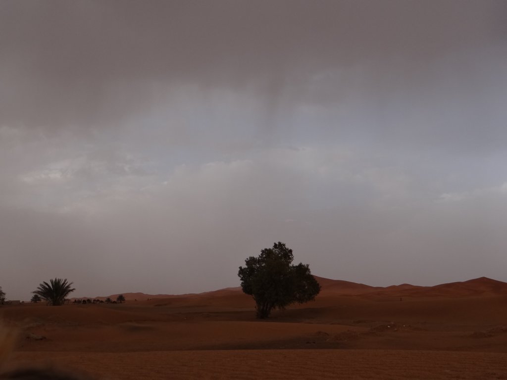 morocco2014120.jpg