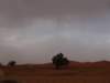 morocco2014120_small.jpg