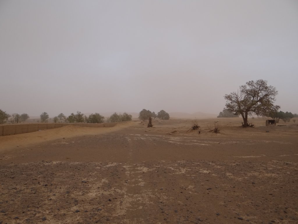 morocco2014121.jpg