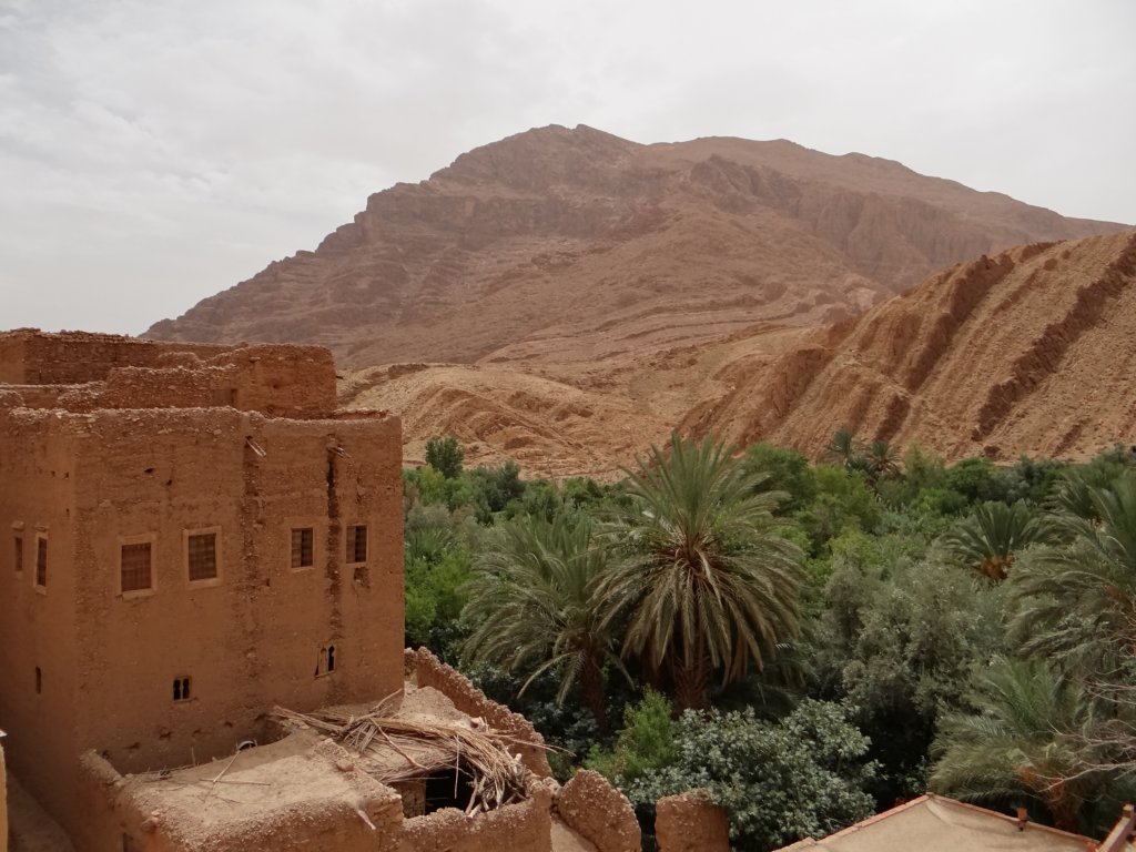 morocco2014129.jpg