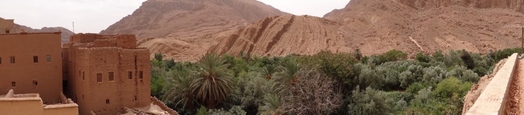 morocco2014130.jpg