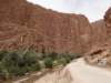morocco2014131_small.jpg