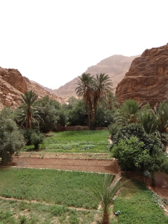 morocco2014132.jpg