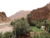 morocco2014133_small.jpg