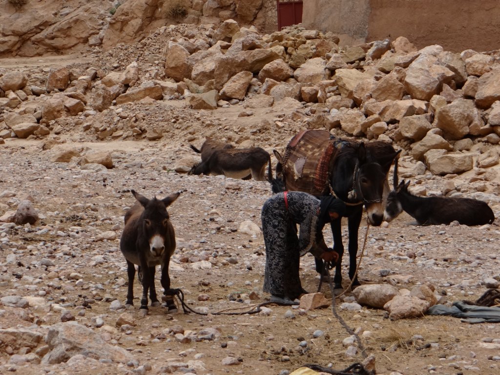 morocco2014135.jpg