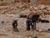 morocco2014135_small.jpg