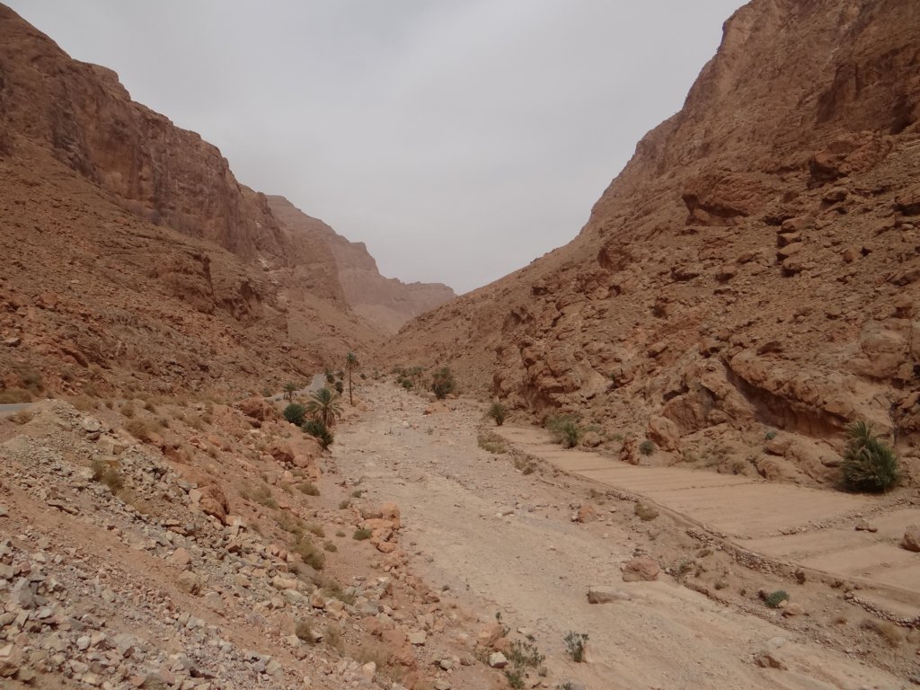 morocco2014140.jpg