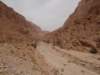 morocco2014140_small.jpg