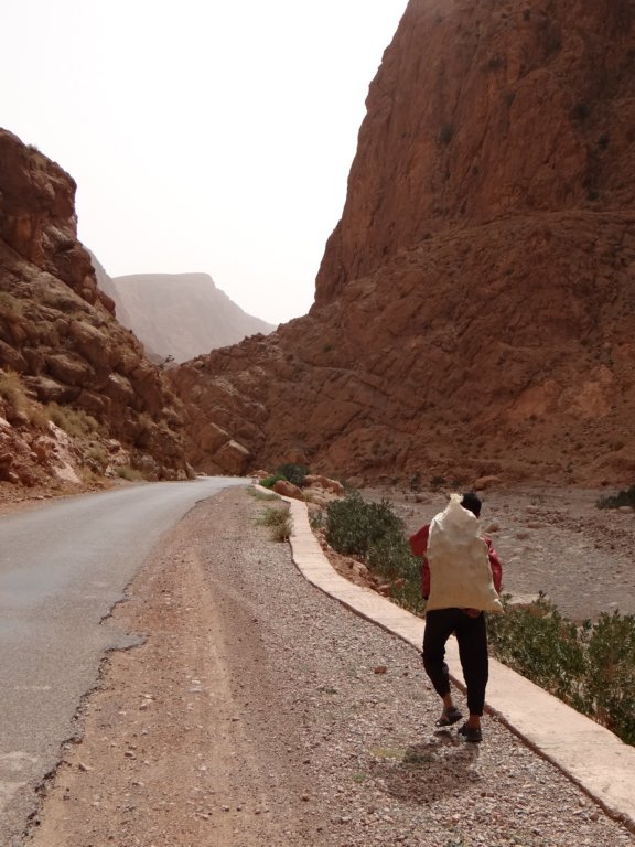 morocco2014145.jpg