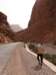 morocco2014145_small.jpg