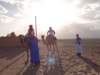 morocco201415_small.jpg