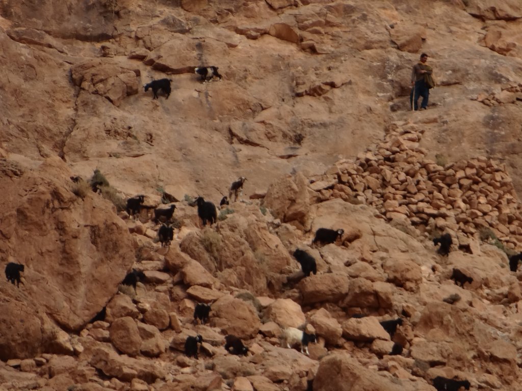 morocco2014160.jpg