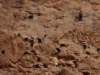 morocco2014160_small.jpg
